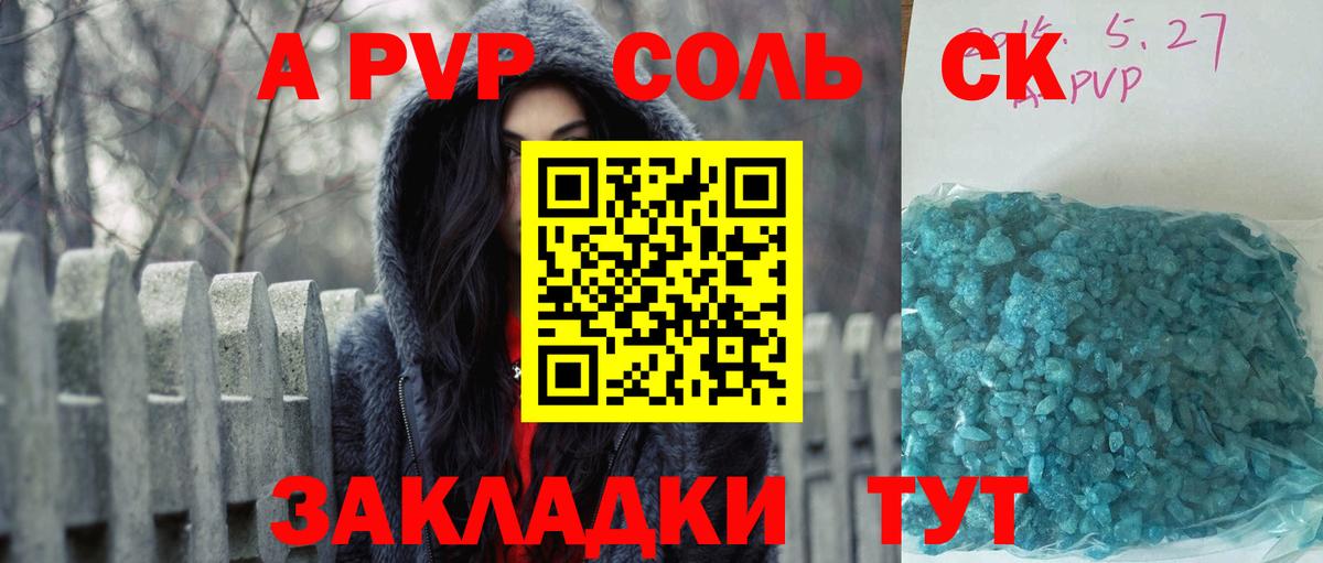 Alfa_PVP СК КРИС Курчалой