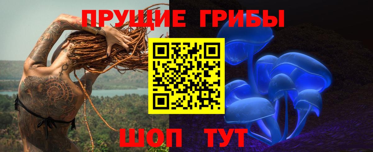 Курчалой  Галлюциногенные грибы ЛСД  Вход с VPN 