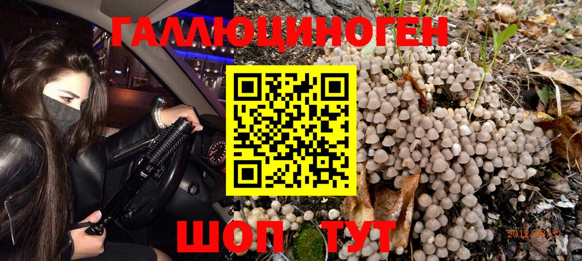 Галлюциногенные грибы Magic Shrooms Курчалой